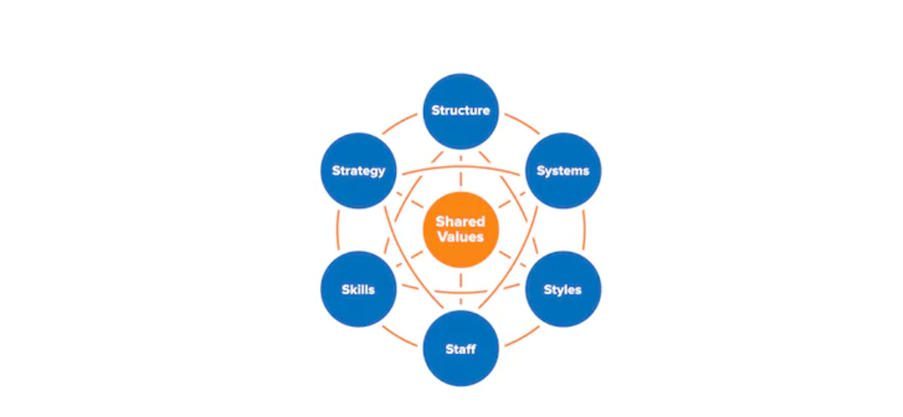 internal analysis of a business plan